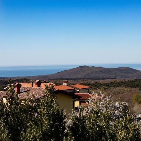 Vila Brinovka Kostanjevica na Krasu Εξωτερικό φωτογραφία