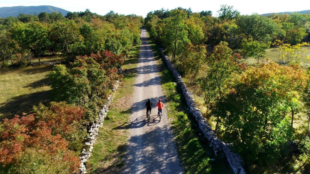 Vila Brinovka Kostanjevica na Krasu Εξωτερικό φωτογραφία