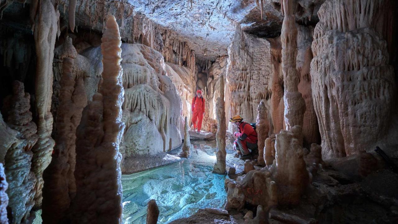 Vila Brinovka Kostanjevica na Krasu Εξωτερικό φωτογραφία