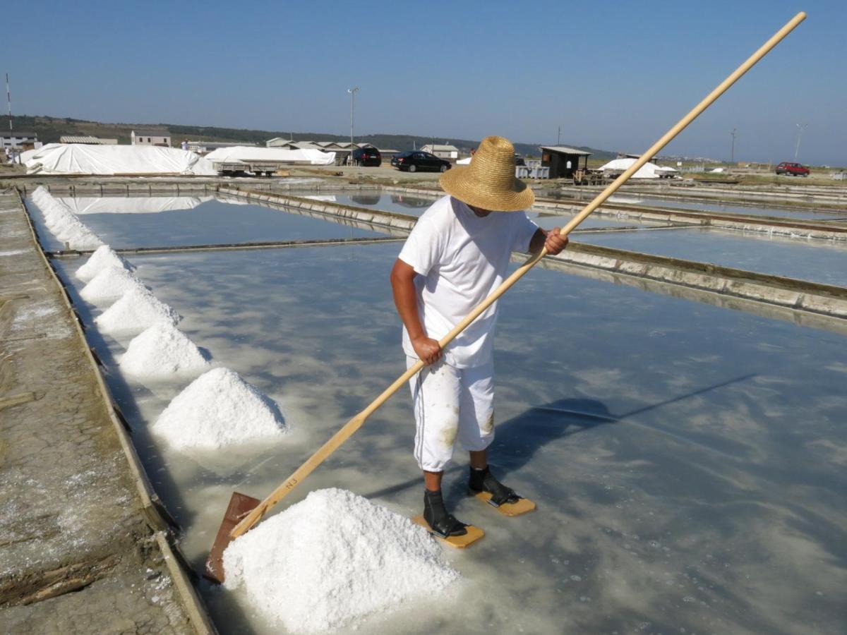 Vila Brinovka Kostanjevica na Krasu Εξωτερικό φωτογραφία